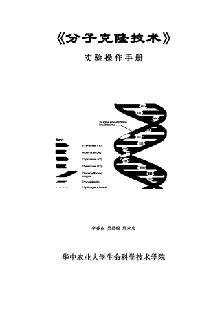 分子克隆技术实验操作手册
