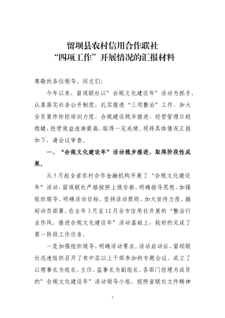 关于“四项工作”开展情况的报告