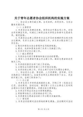 关于青年志愿者协会组织机构的实施方案