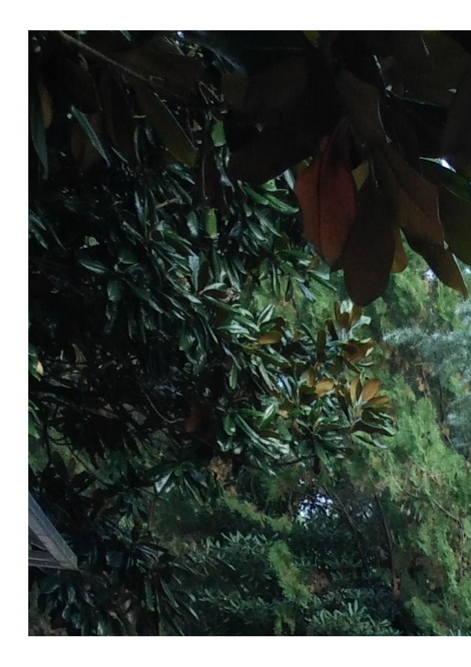 关爱留守儿童事迹_第2页