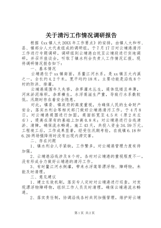 关于清污工作情况调研报告