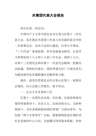 共青团代表大会报告