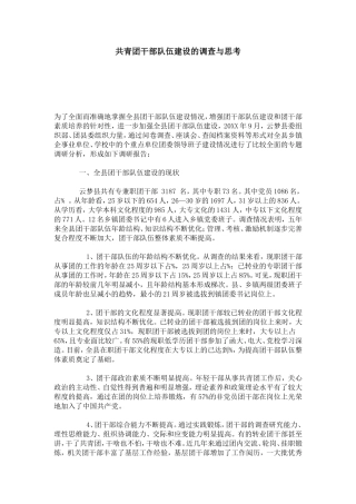 共青团干部队伍建设的调查与思考-模板