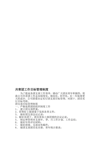 共青团工作目标管理制度-2019年精选文档