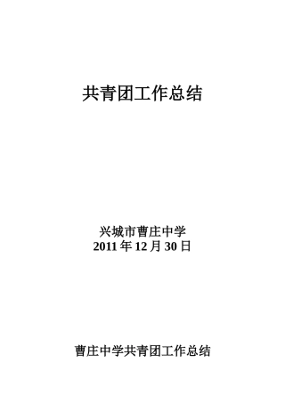 共青团工作总结