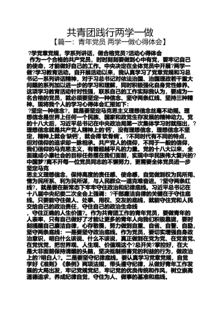 共青团践行两学一做