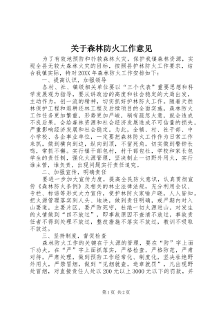 关于森林防火工作意见