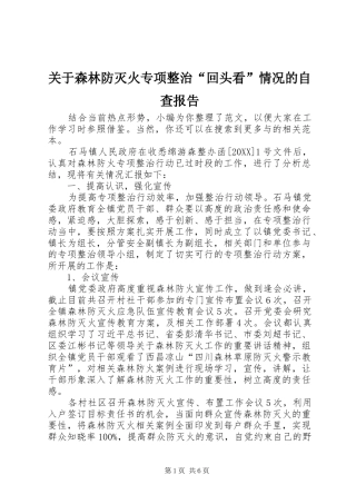 关于森林防灭火专项整治回头看情况的自查报告