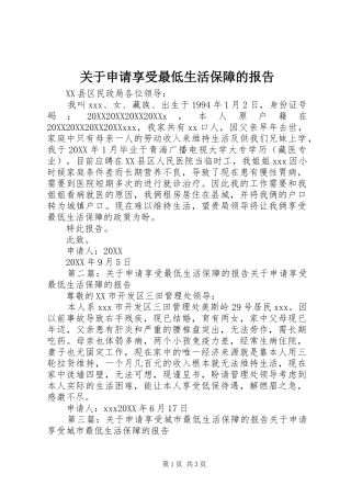 关于申请享受最低生活保障的报告