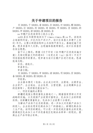关于申请项目的报告
