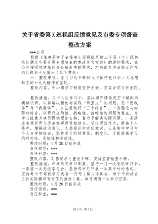 关于省委第X巡视组反馈意见及市委专项督查整改方案