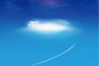招投标流程及要点上传版
