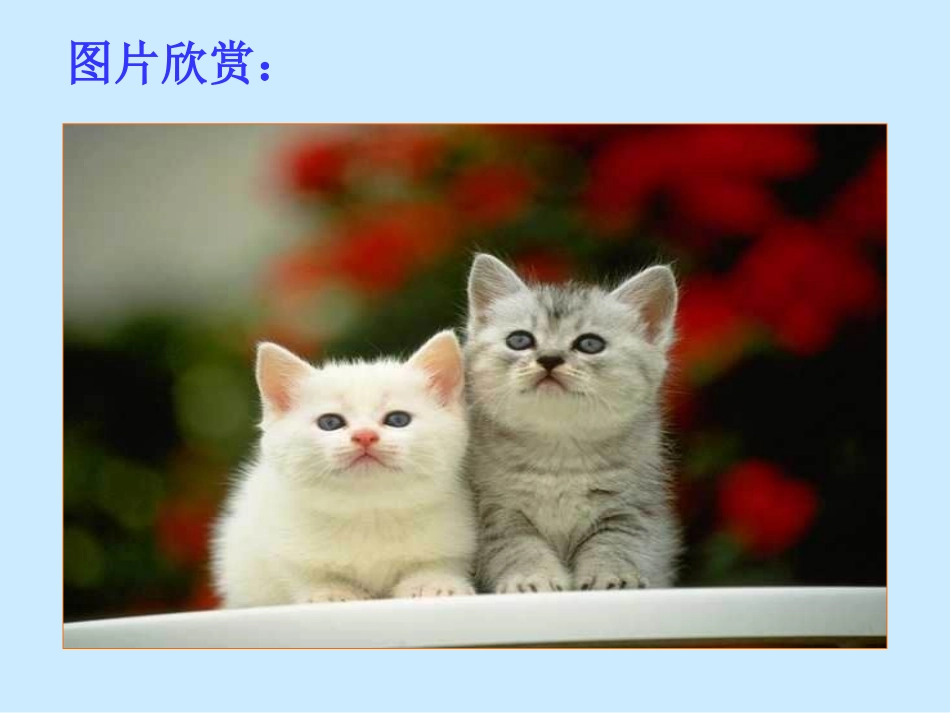 郑振铎猫课件_第2页