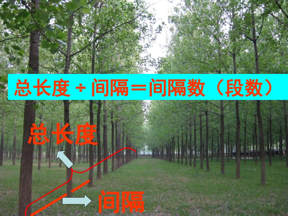 植树问题课件_第3页