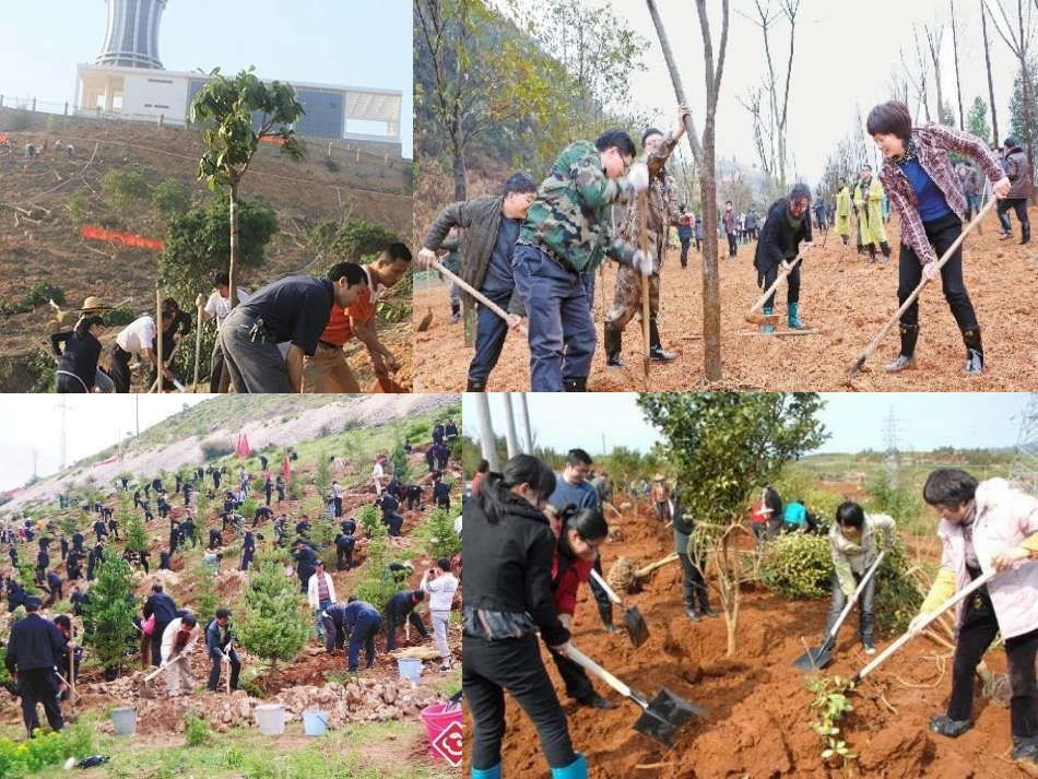 植树造林好处多_第3页