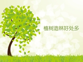 植树造林好处多