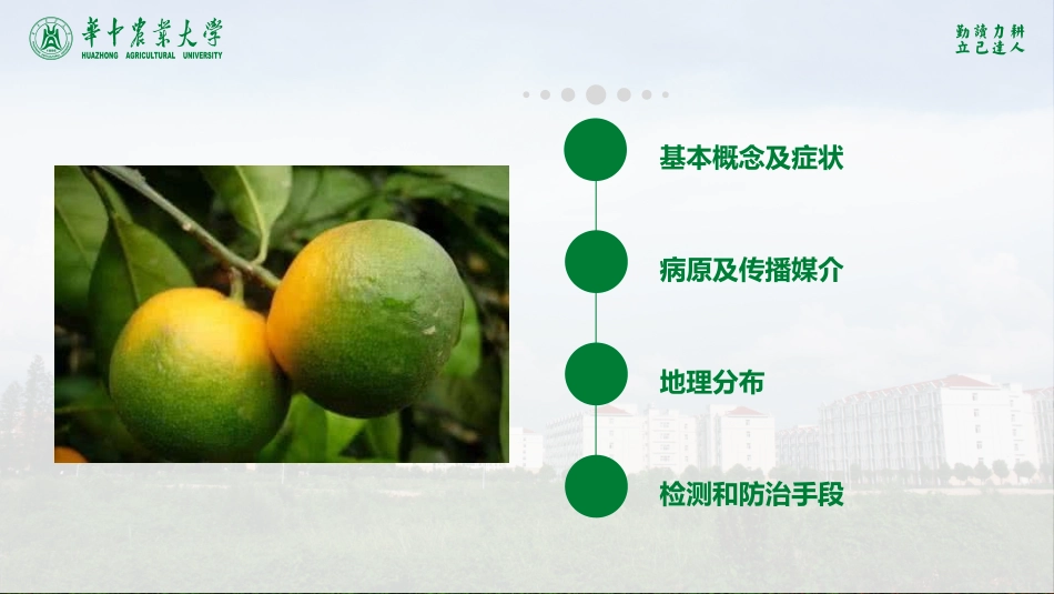 植物检疫柑橘黄龙病_第2页