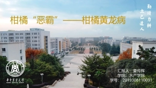 植物检疫柑橘黄龙病