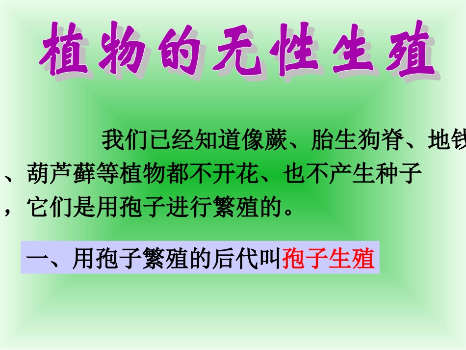植物生长方式的多样性_第2页