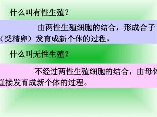 植物生长方式的多样性