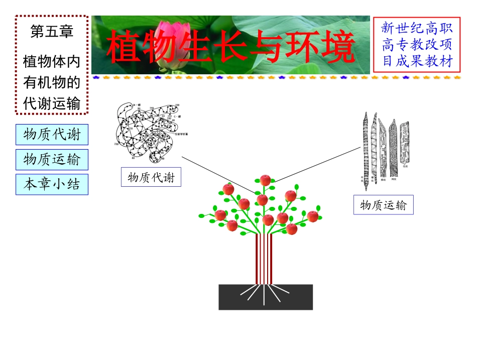 植物生长与环境_第2页