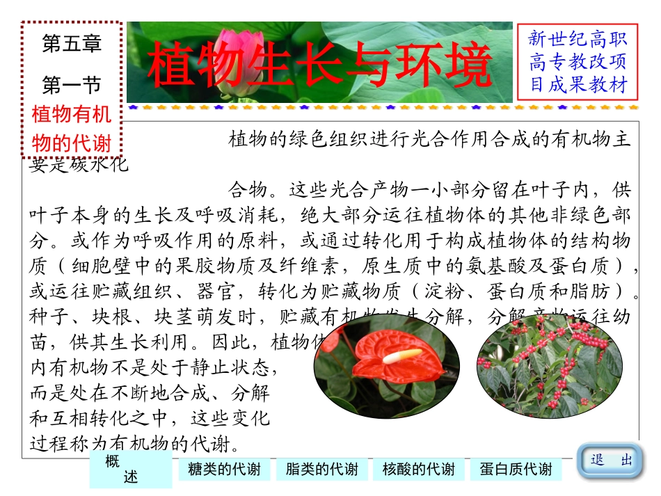 植物生长与环境_第3页