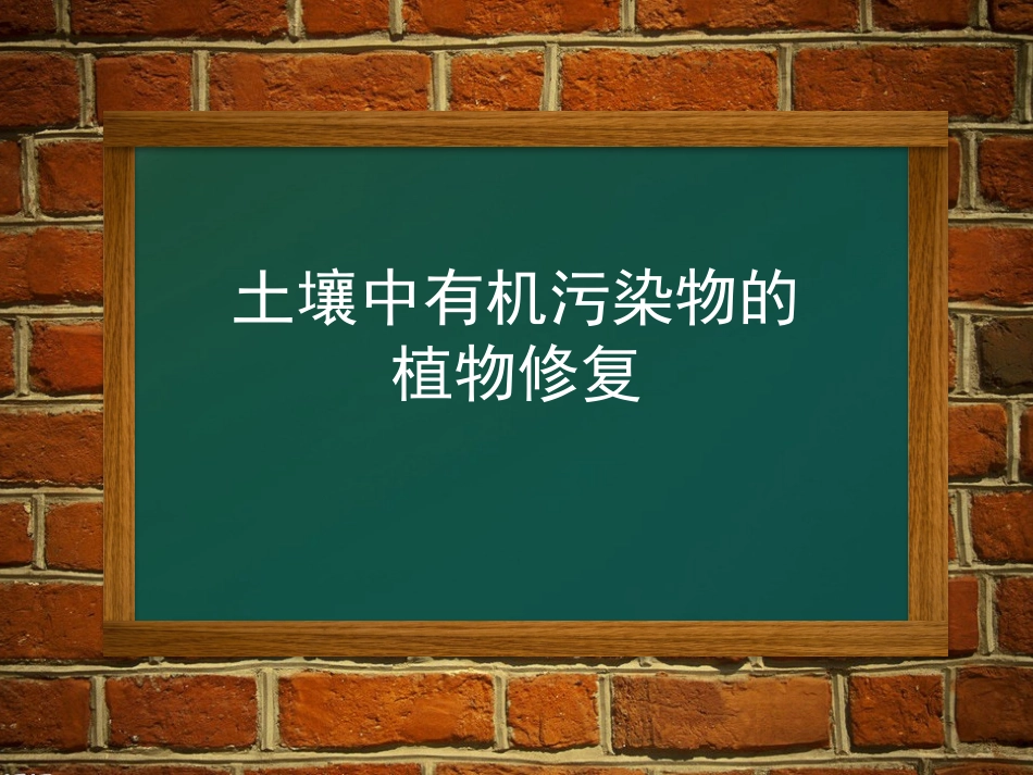 植物修复有机物污染土壤_第1页