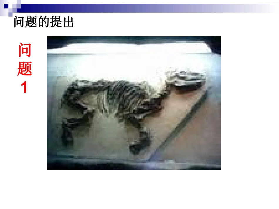 指数及其运算_第2页