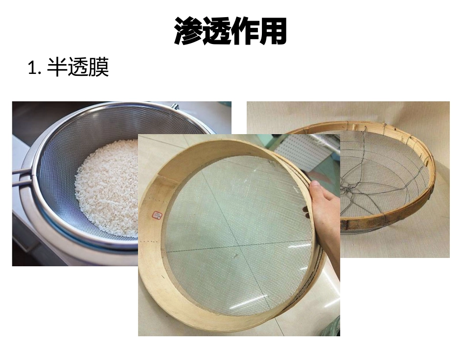 质壁分离及质壁分离的复原实验_第2页