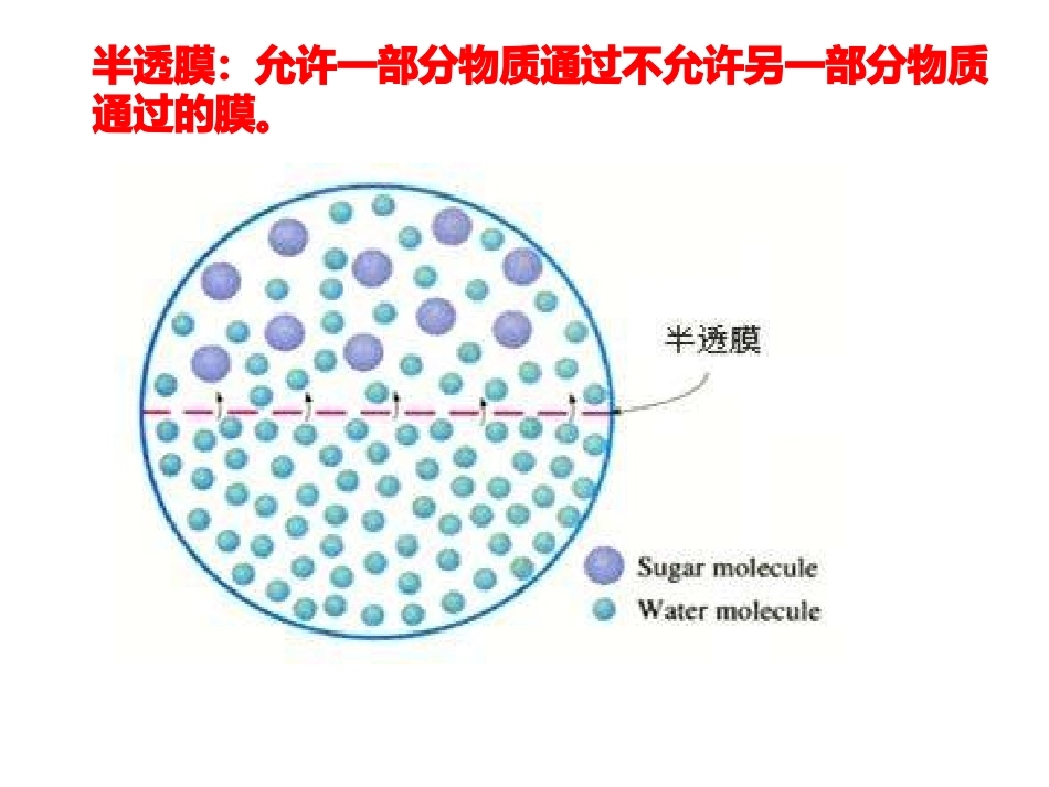 质壁分离及质壁分离的复原实验_第3页