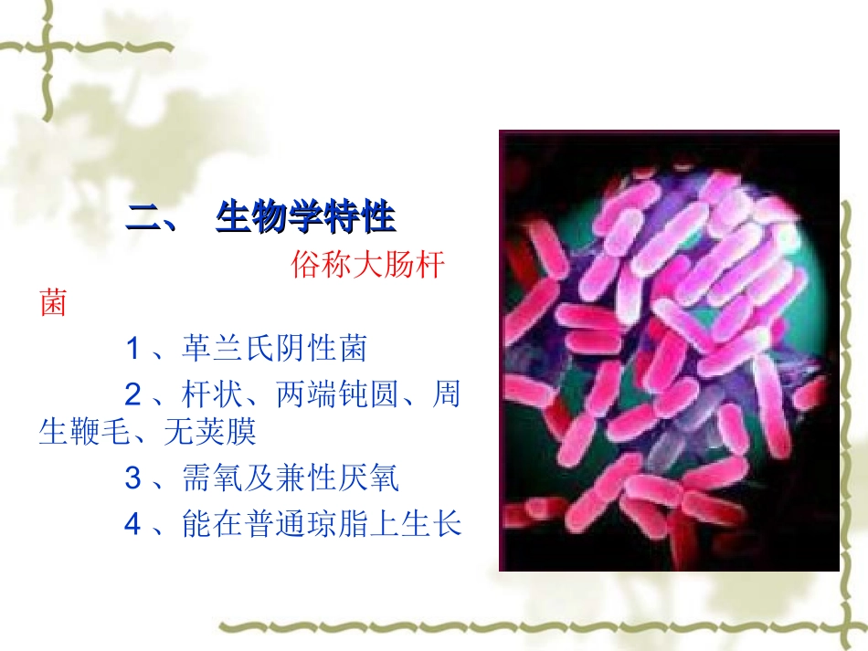 致泻大肠埃希式菌的检验_第3页