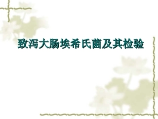 致泻大肠埃希式菌的检验