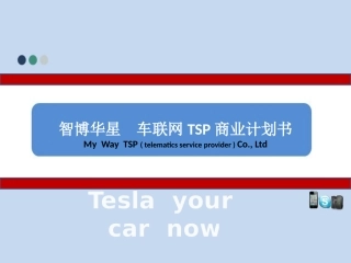 智博华星车联网TSP商业计划书