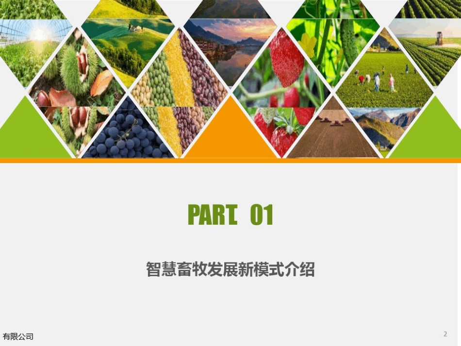 智慧畜牧平台建设完整解决方案_第2页