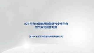 智慧燃气报警平台商业计划书
