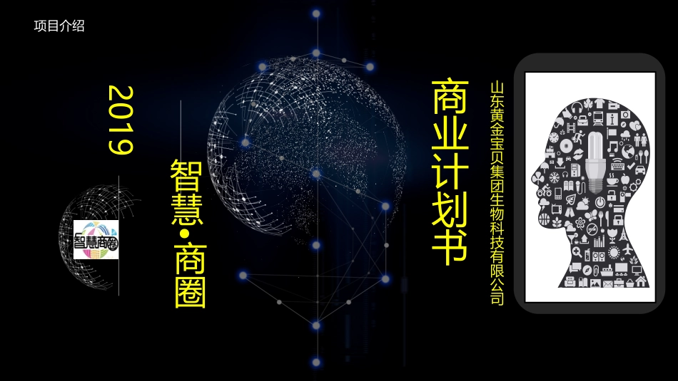 智慧商圈商业规划书_第1页