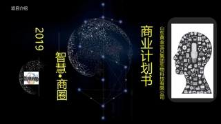 智慧商圈商业规划书