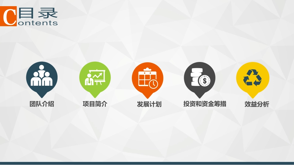 智慧医养一体化建始项目创业计划书_第2页