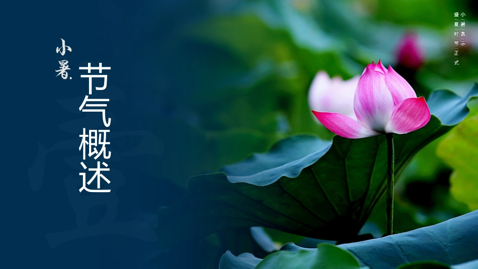 中国传统节气小暑介绍实用_第3页