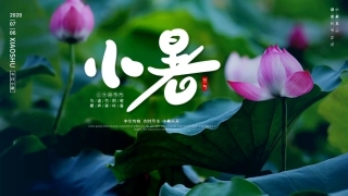 中国传统节气小暑介绍实用