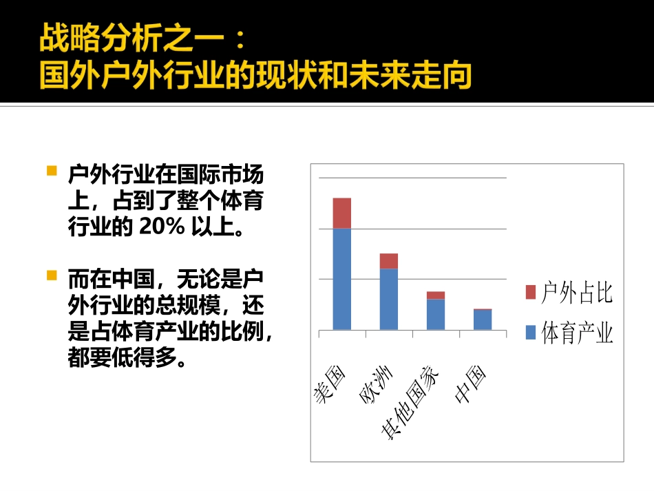 中国市场分析_第2页
