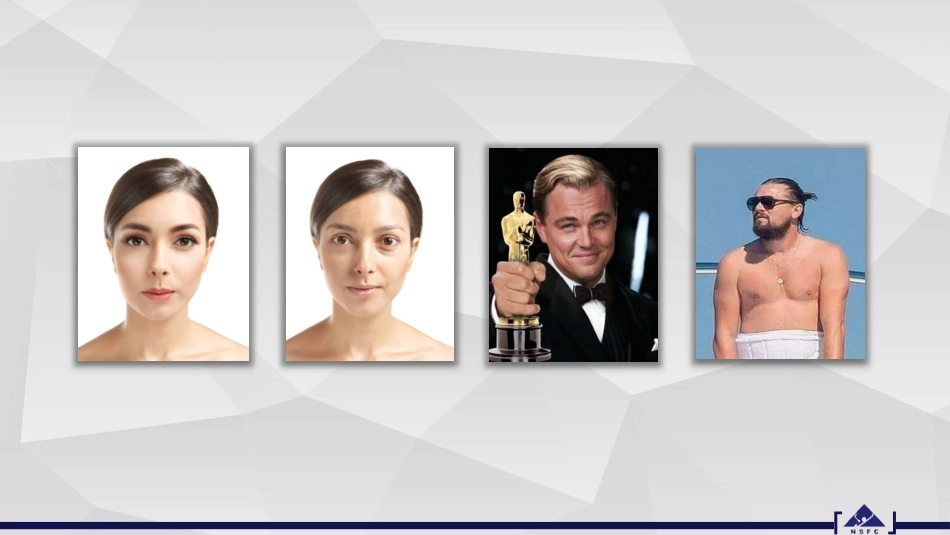 中国自然申请攻略基金标书摘要_第2页