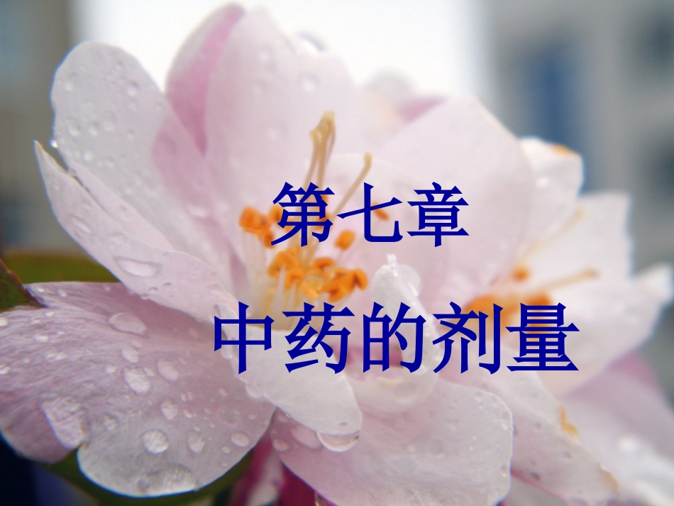 中药的剂量和用法_第1页