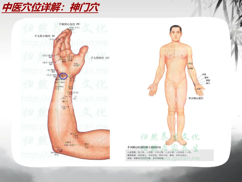 中医穴位详解神门穴_第3页