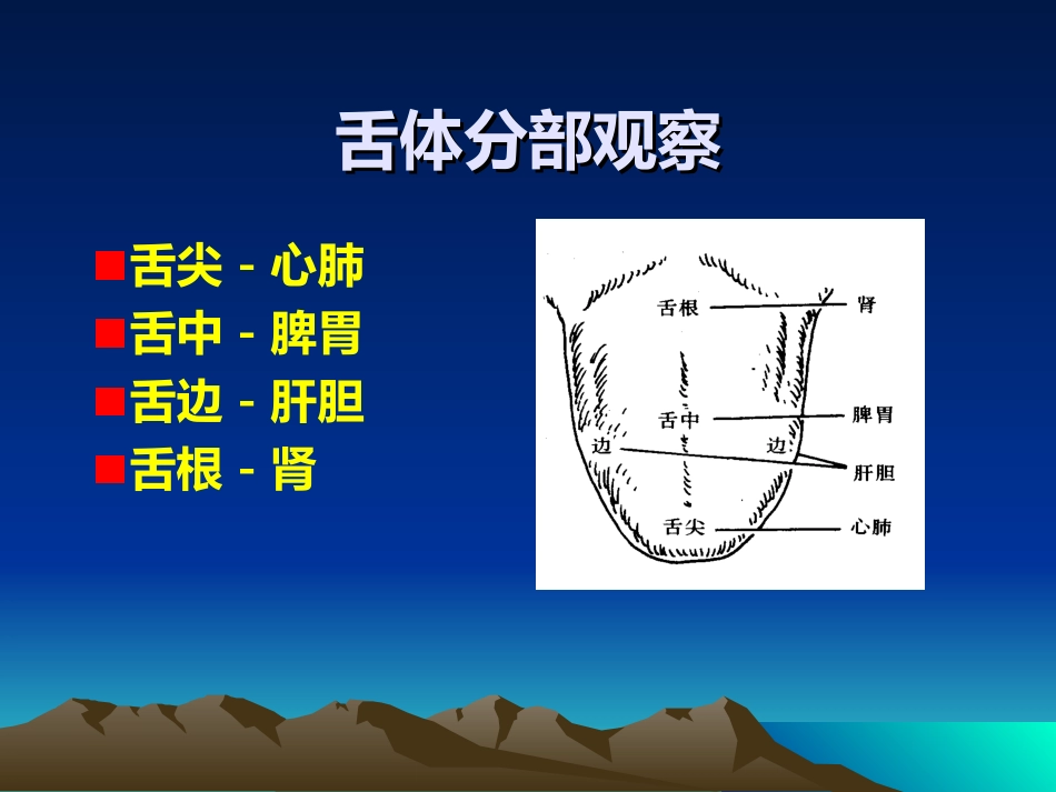 中医诊疗学舌诊_第2页