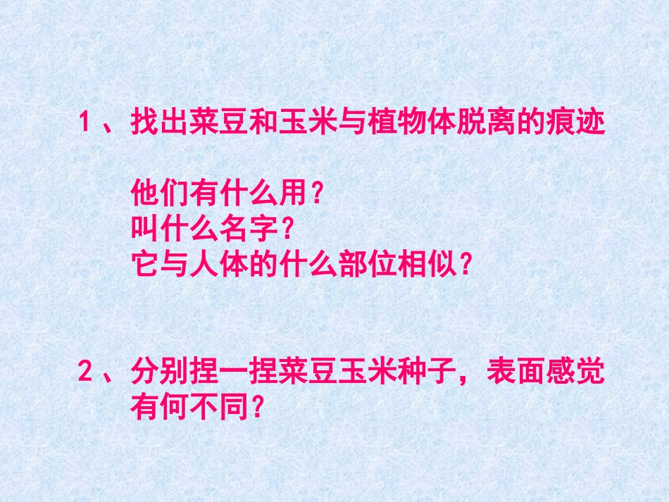 种子的结构课件_第2页