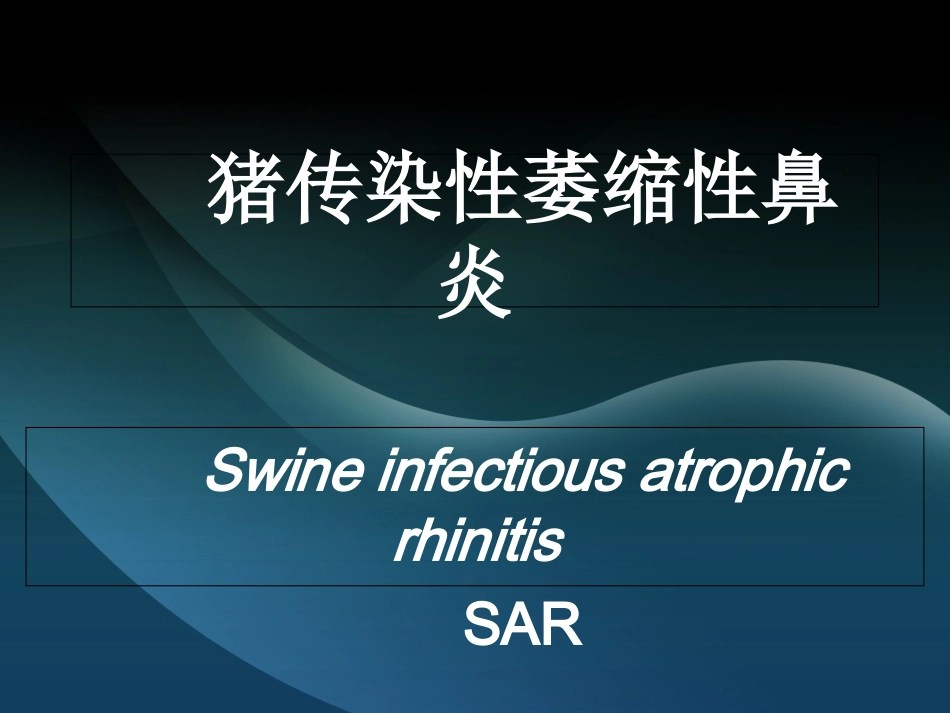 猪传染性萎缩性鼻炎_第1页