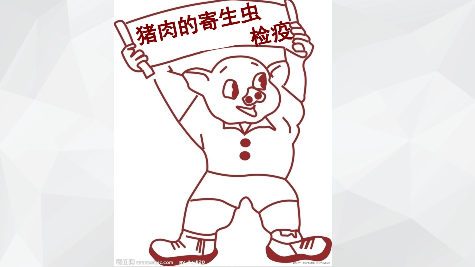 猪肉里面的寄生虫_第1页