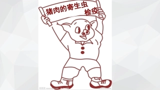 猪肉里面的寄生虫
