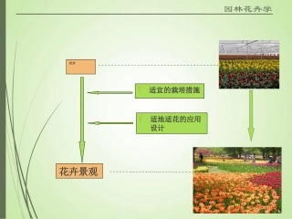 主要生态因子对花卉生长发育的影响